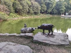-榴花公园