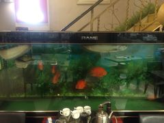 -清真磊磊烧烤老店(饮虎池街34号店)