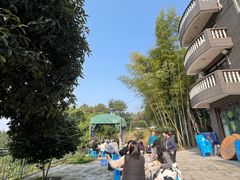 -金水泊山庄·花椒鸡(铁山坪店)