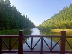 -黄海国家森林公园