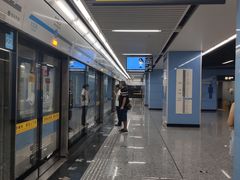 -大龙山(地铁站)