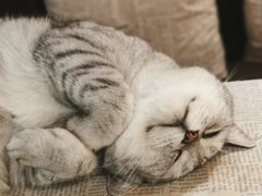 -隅cafe(傅厚岗店)