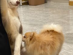 -鹤之乡·齐齐哈尔烤肉·非遗(秋涛路店)