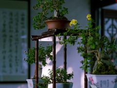 -留园