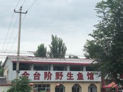 -金台阶鱼馆(于桥水库店)