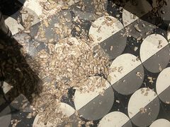 -Long Bar(莱佛士酒店)