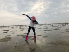 -红树林天天赶海