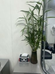 -TRIMS HAIR 修剪造型·烫染接发