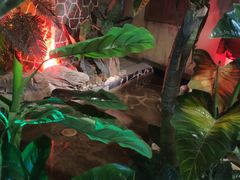 -泉城欧乐堡戏水湾艺术养生温泉