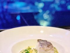 -迪拜帆船酒店海底餐厅