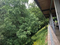 -西湖风景区-江洋畈生态公园