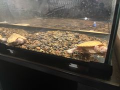 -太平洋海底世界