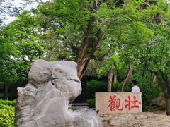 -云龙山