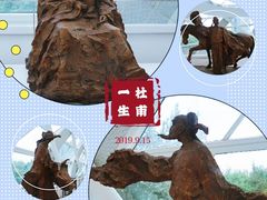 -凤凰中心