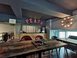 -桃秘钢管舞 Peach Pole Fitness