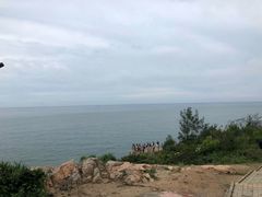 -广东惠东海龟国家级自然保护区