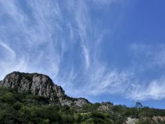 android_upload_pic-塞罕坝国家级自然保护区