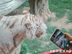 -北京野生动物园