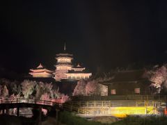 -禅宗少林·音乐大典