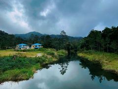 -海南热带雨林国家公园吊罗山景区