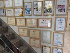 -半岛宠物医院24小时·内窥镜·牙科·碎石中心(府城大道店)