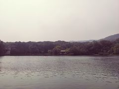 -紫霞湖公园
