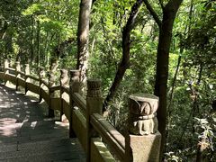 -普陀山风景区-佛顶山