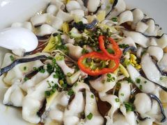 -顺德美食坊(南沙分店)