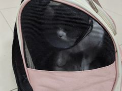 -艾贝尔宠物医院 ·内科全科(梁溪路店)