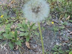 -汉石桥湿地公园