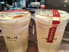 -一树一叶·福建茶档(石鼓路店)