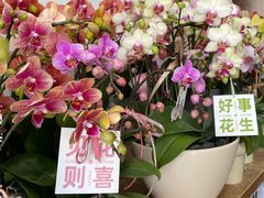 -卓花境Flowerwonderland花店