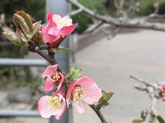 -济南南郊宾馆
