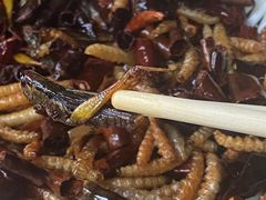 -福照楼汽锅鸡·云南菜(护国路店)