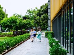-田园东方蜜桃村的田野营地