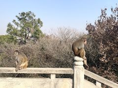 -上方山森林动物世界