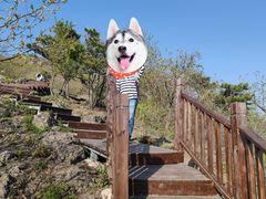 -北京十三陵国家森林公园蟒山景区