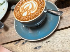 -The Daily Fix Cafe