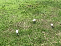 -北京麋鹿生态实验中心