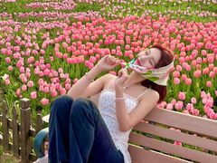 -荷兰花海