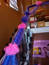 -归真美学颜究中心