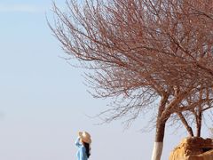 -丁香湖公园
