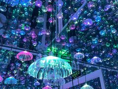 -星空失恋博物馆(北京路旗舰店)