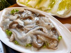 桃花蛸-良兴火锅
