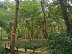 -白沙门生态公园