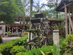 -青城甲(青城山店)