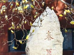 -山东大学(趵突泉校区)