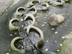 -成都市活水公园