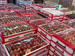 -西郊国际农产品交易中心