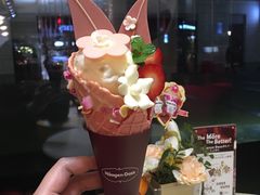 -哈根达斯(扬州瘦西湖店)